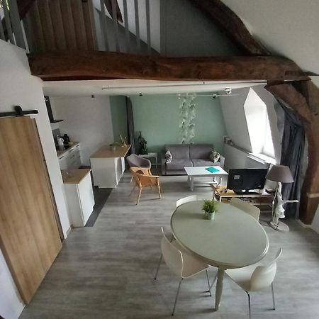 Le Regard De Mona Lisa Apartment Amboise Exterior photo